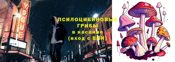 прущие грибы Липки